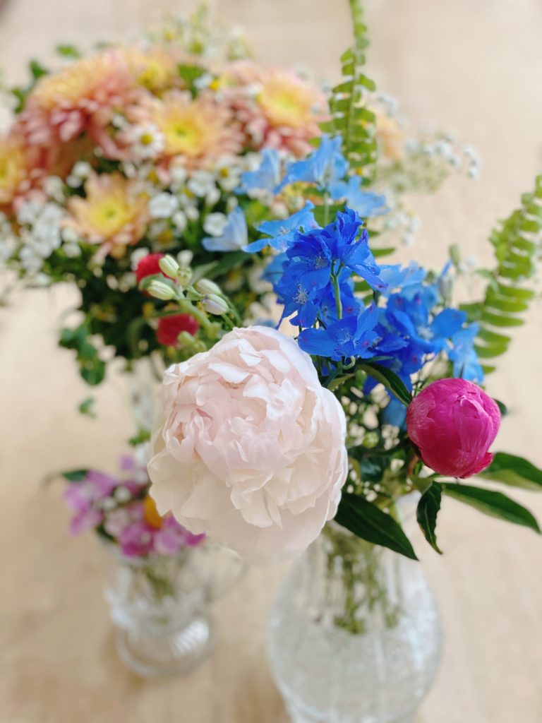 ５月２回目の花